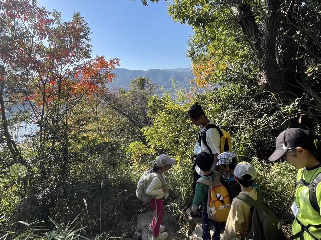周りの山